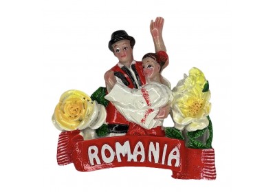 Magnet ceramic dans popular 3 Magnet ceramic dans popular 3